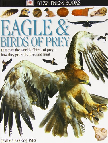 Eagle & Birds of Prey