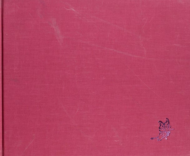 Lynn Hollyn's Town & Country Cat