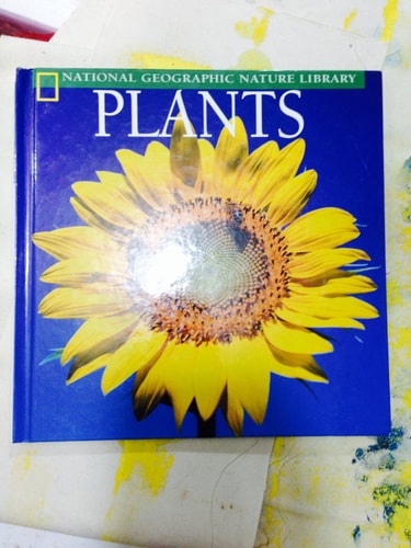 Plants