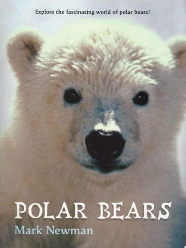Polar Bears