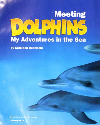 Meeting Dolphins