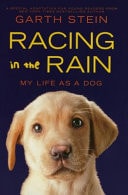 Racing In The Rain