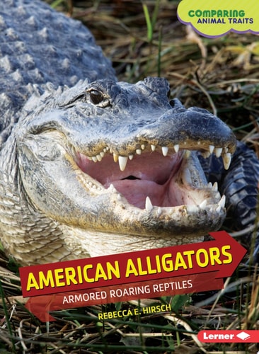 American Alligators Armored Roaring Reptiles