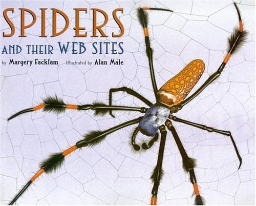 Spiders and Their Web Sites