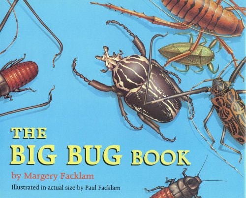 The Big Bug Book