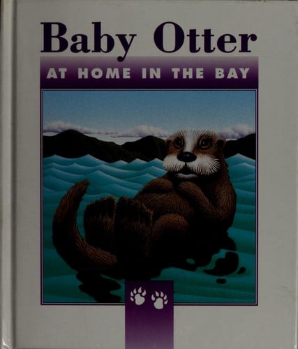 Baby otter: At home in the bay
