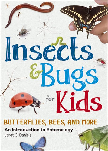 Insects and Bugs for Kids An Introduction to Entomology