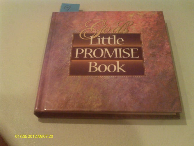 God's Little Promise Book