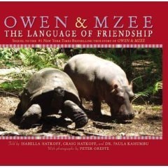 Owen & Mzee The Language of Friendship
