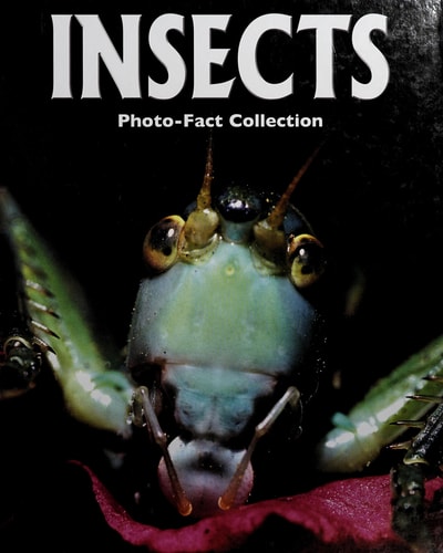 Insects