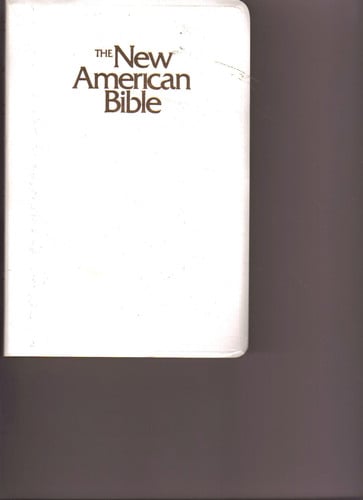 The New American Webster Handy College Dictionary: New Third Edition