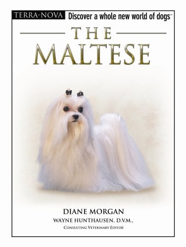 The Maltese (Terra-Nova)