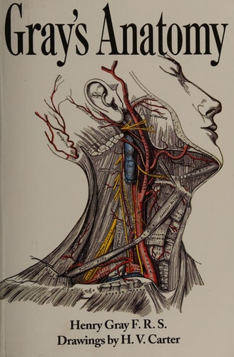 Gray's Anatomy