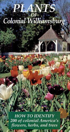 Plants of Colonial Williamsburg: How to Identify 200 of Colonial America's Flowers, Herbs, and Trees