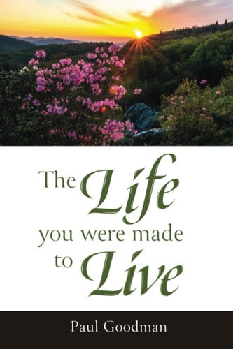 The Life You Were Made To Live: A life guide for men
