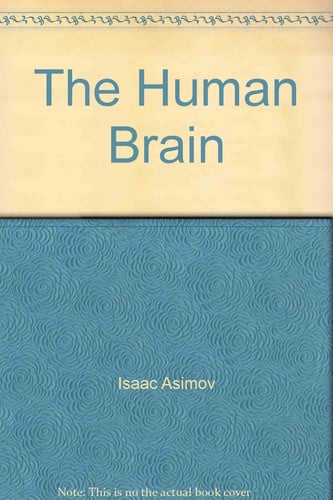 The Human Brain