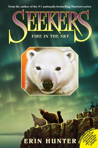 Seekers #5: Fire in the Sky