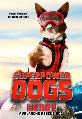 Superpower Dogs: Henry Avalanche Rescue Dog