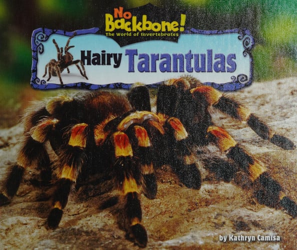 Hairy Tarantulas (No Backbone! The World of Invertebrates)