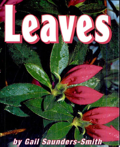 Leaves (Pebble Books)