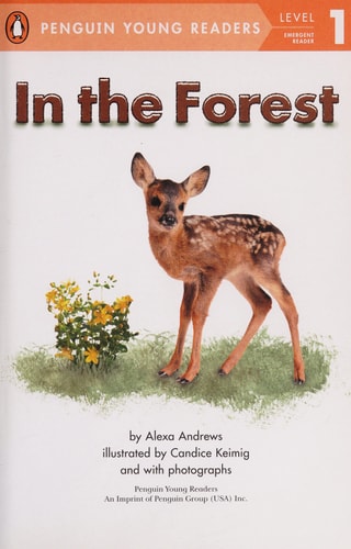 In the Forest