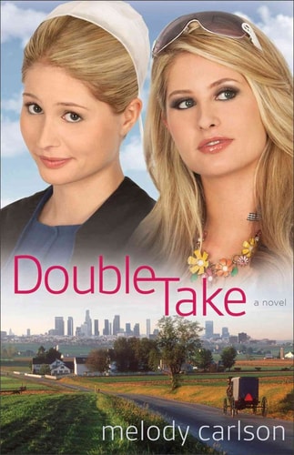 Double Take A Novel