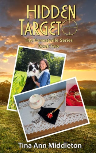 Hidden Target: The Forrestville Series Book Two
