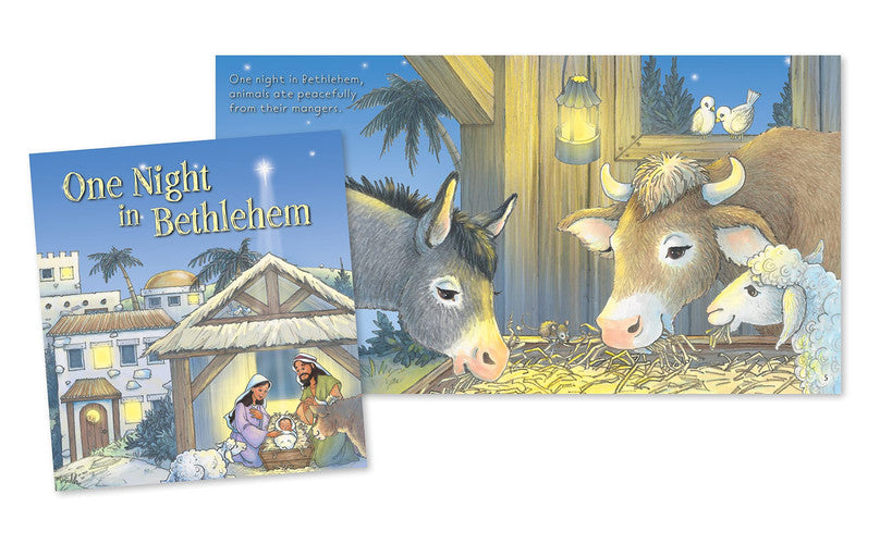 One Night In Bethlehem
