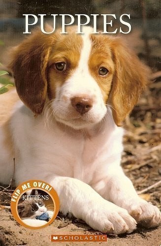 Puppies/Kittens