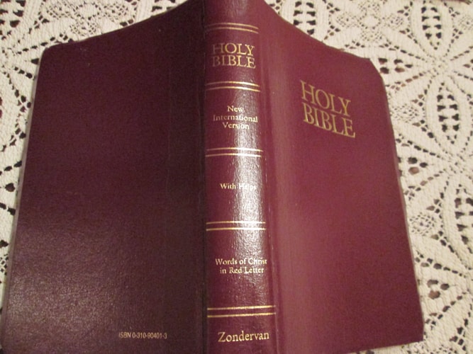 NIV Deluxe Gift & Award Bible