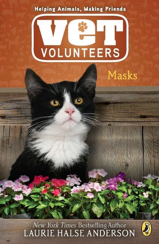 Masks (Vet Volunteers)