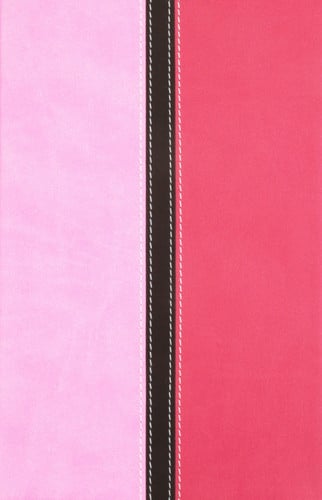 Busy Mom's Bible
