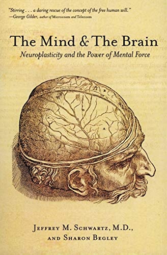 The Mind and the Brain Neuroplasticity and the Power of Mental Force
