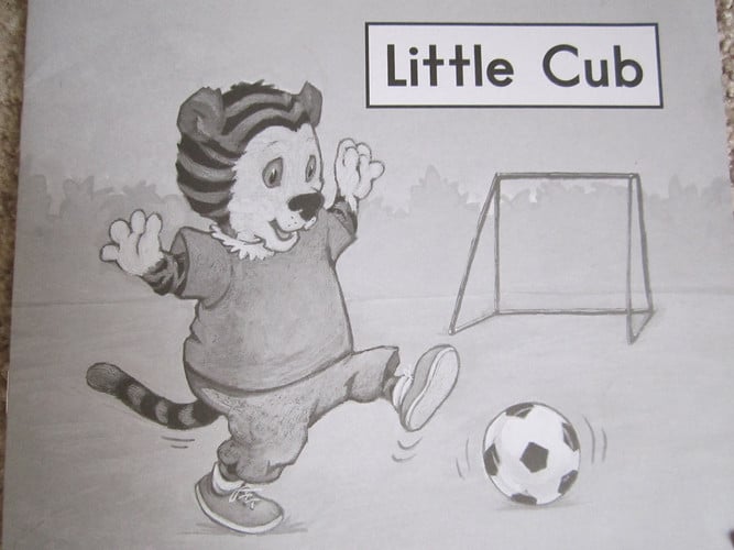 Little Cub (Fountas and Pinnell Leveled Literacy Intervention Books, Orange System, Level A, Book 20)