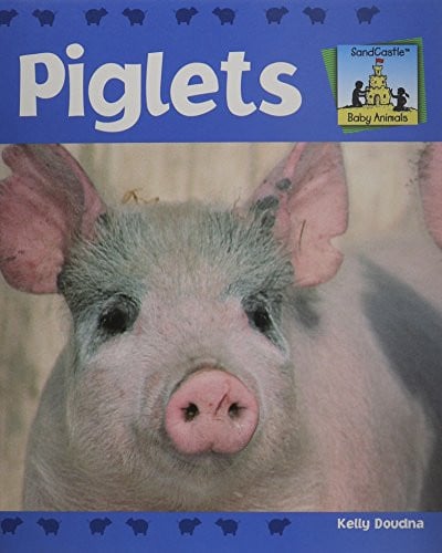 Piglets (Baby Animals)