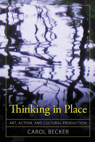 Thinking in Place (Cultural Politics & the Promise of Democracy)