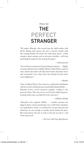 The Perfect Stranger A Novel