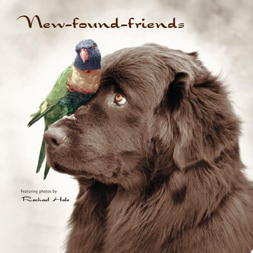 New-found-friends