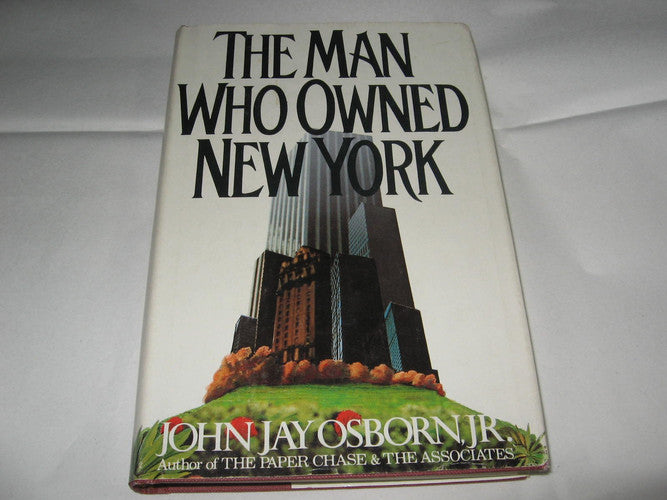 The man who owned New York: A novel