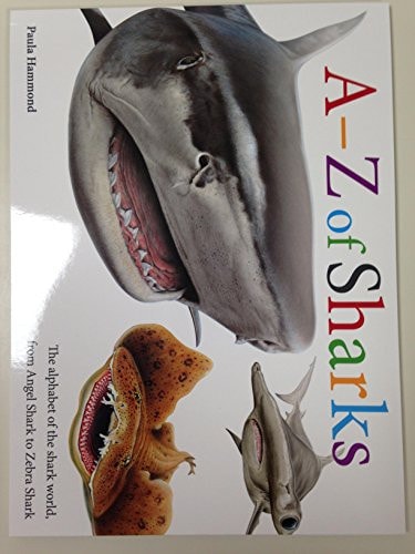 A - Z of Sharks The Alphabet of the Shark World, from Angel Shark to Zebra Shark