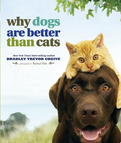 Why Dogs Are Better Than Cats