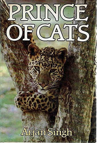 Prince Of Cats