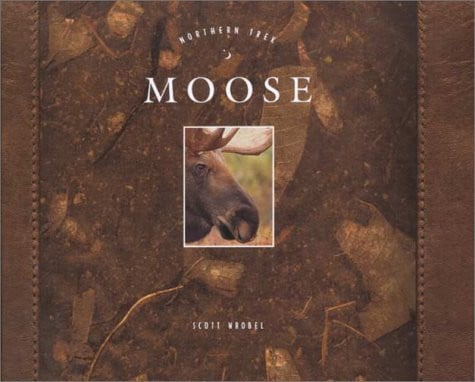 Moose (Northern Trek)