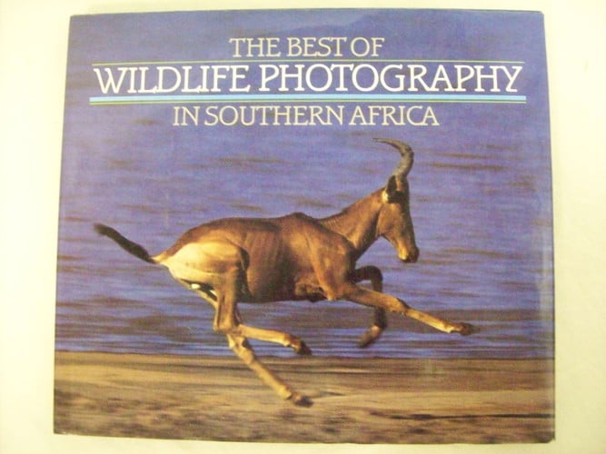 The Best of Wildlife Photography in Southern Africa