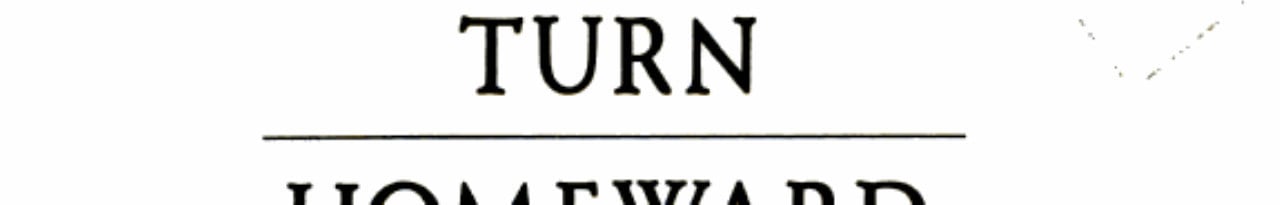 Turn Homeward, Hannalee (A Troll Book)