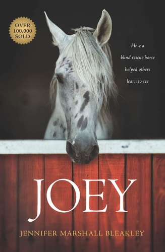 Joey How a Blind Rescue Horse Helped Others Learn to See