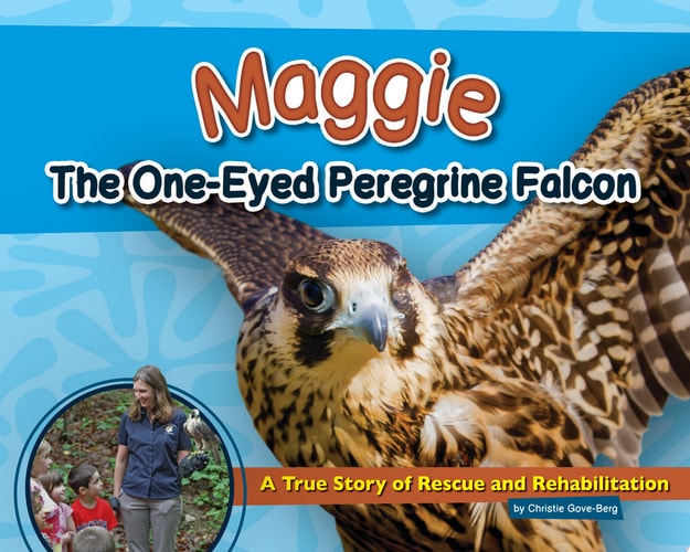 Maggie the One-Eyed Peregrine Falcon A True Story of Rescue and Rehabilitation