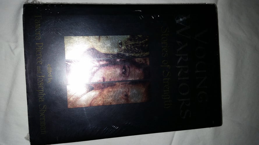 Young Warriors: Stories of Strength