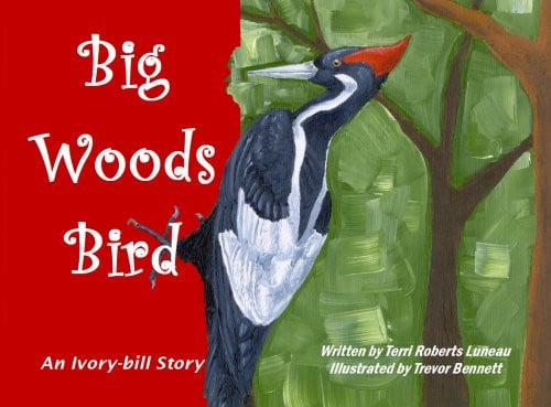 Big Woods Bird: An Ivory-bill Story
