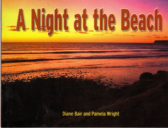 Rigby Literacy: Leveled Reader Grade 5 Night at the Beach, a